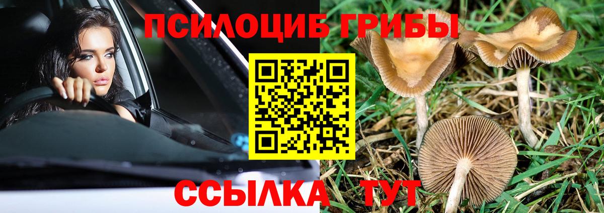 Ижевск  Псилоцибиновые грибы мицелий  Вход с VPN  Псилоцибиновые грибы GOLDEN TEACHER 